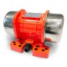 MVE 202/3N-12V FC: 200kg - 1961N